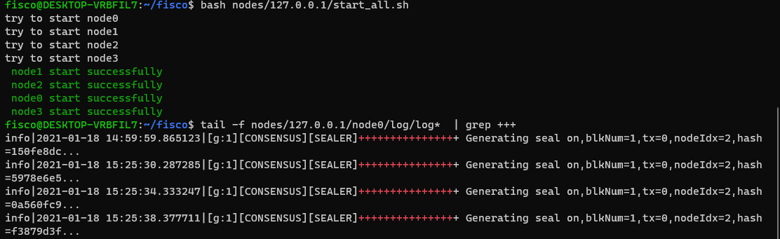 ../../../_images/start_node_wsl.png